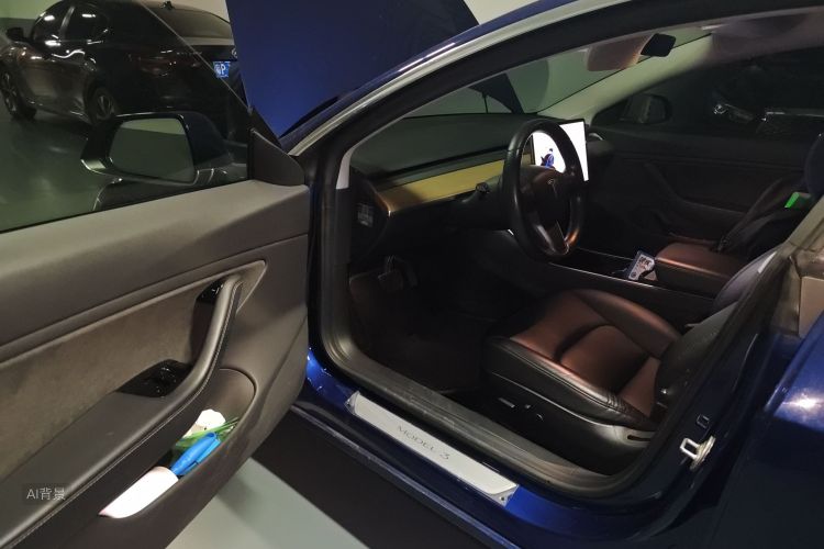 特斯拉 Model 3(进口) 2019 汽车图片 #18