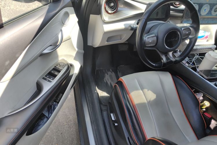 BYD Dolphin 2022 imagem de carro #18