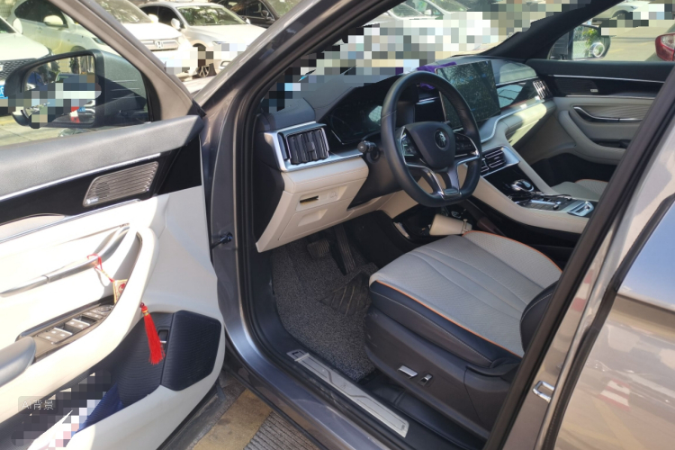 BYD Song Plus New Energy 2021 car image #18