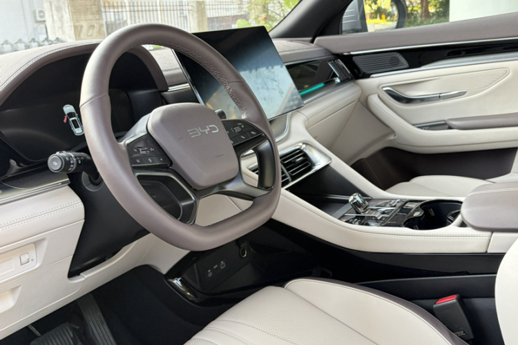 BYD Song Plus New Energy 2025 car image #18