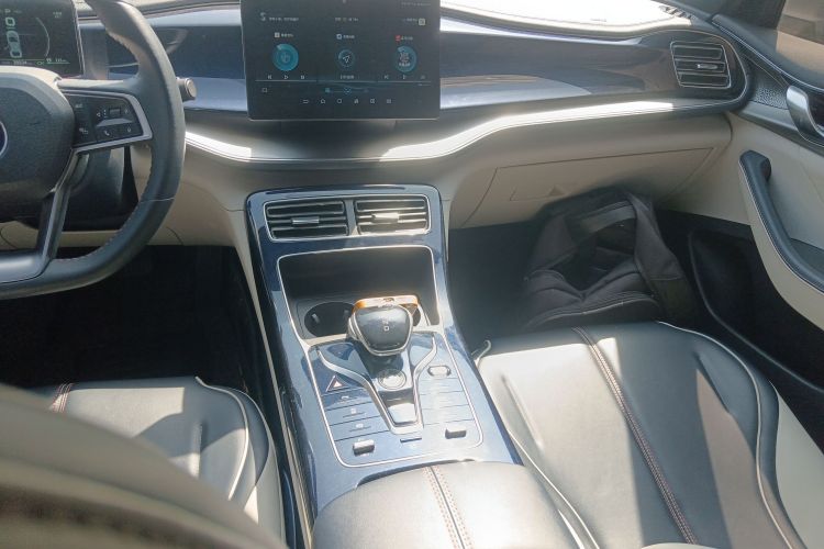 BYD Qin Plus 2021 car image #18