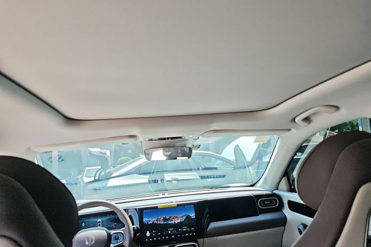 Leapmotor C11 2023 car image #18