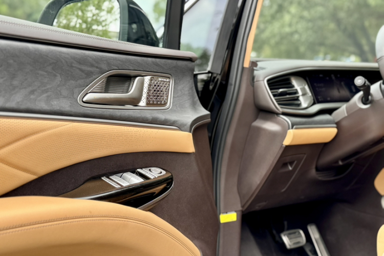 Denza D9 2025 изображение автомобиля #18