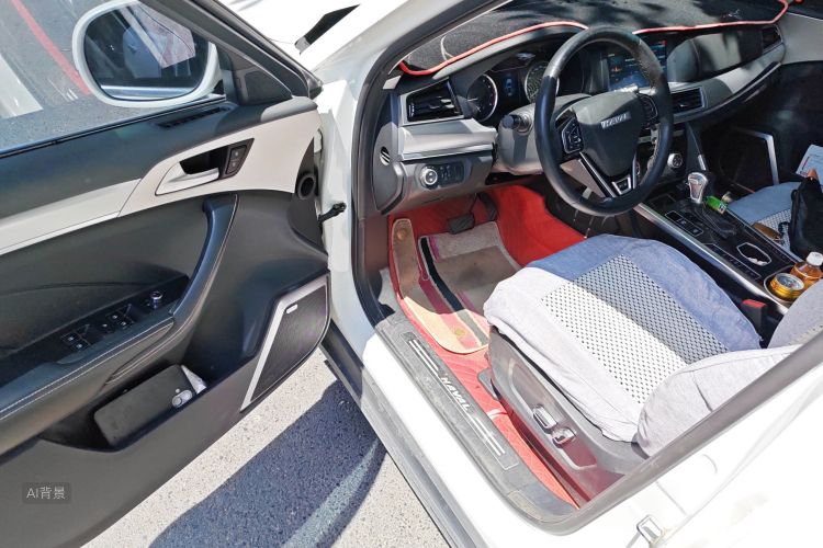 哈弗 哈弗H7 2020 汽车图片 #18