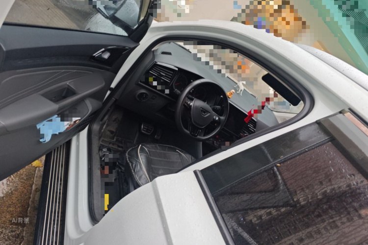 VS5 2019 car image #18