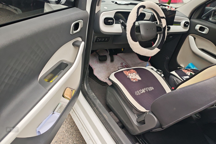 睿蓝汽车 2025 汽车图片 #18