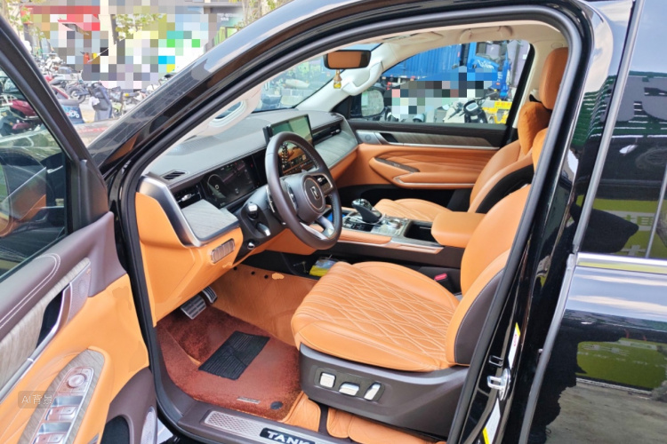 Tank 500 2023 immagine di auto #18