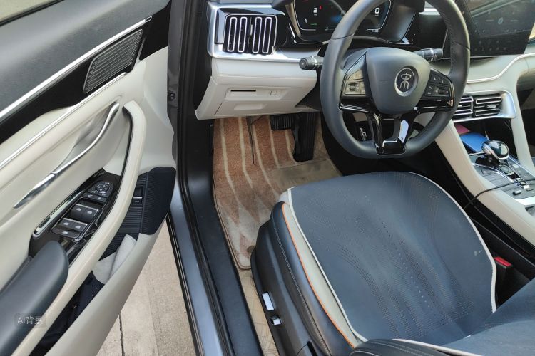 BYD Song Plus New Energy 2022 car image #18