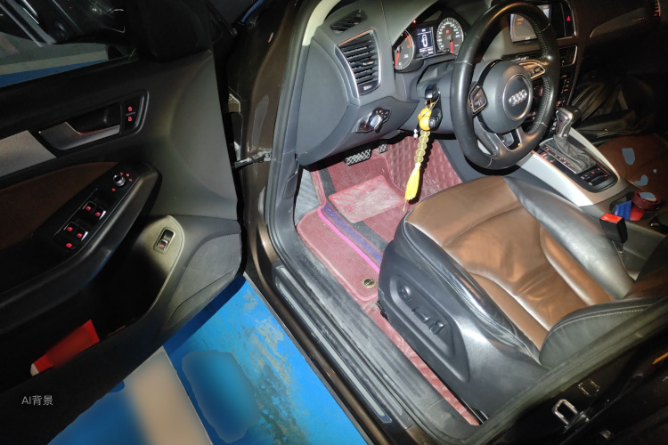 Audi Q5 2016 imagen de coche #18