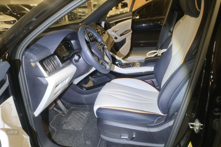 比亚迪 宋PLUS新能源 2022 汽车图片 #18