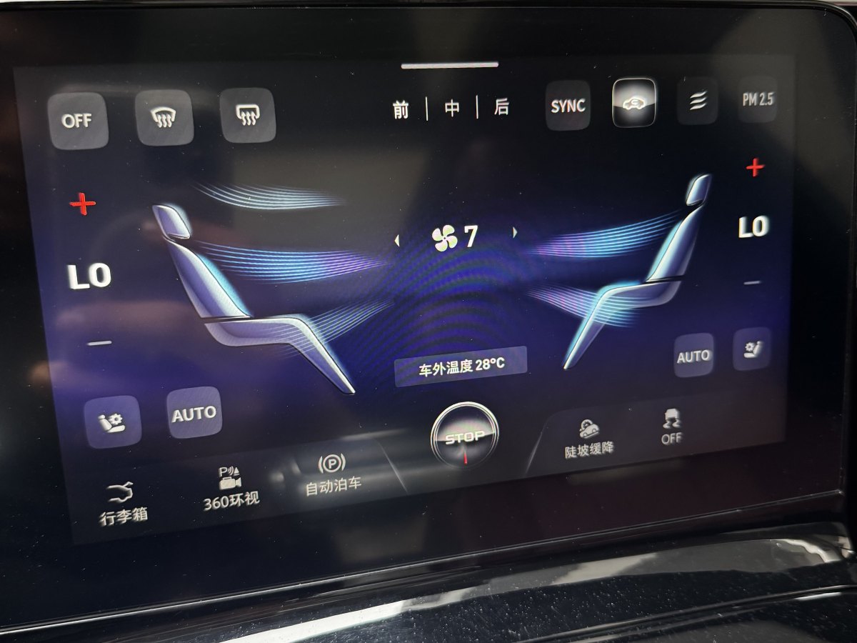 HongQi E-HS9 2021 #18 HongQi E-HS9 2021 immagine di auto #18