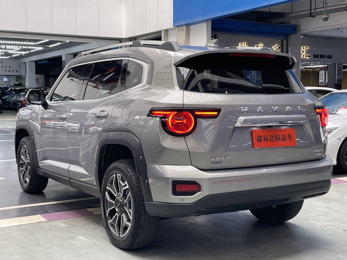 Haval X Dog 2 New Energy 2024 car image #18