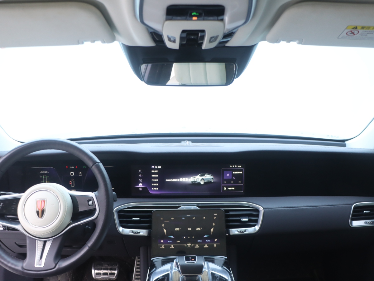HongQi E-HS9 2023 car image #18