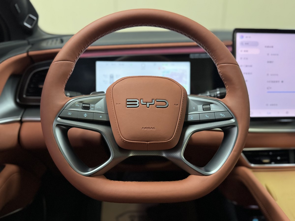 BYD Sea Lion 07 EV 2025 car image #18