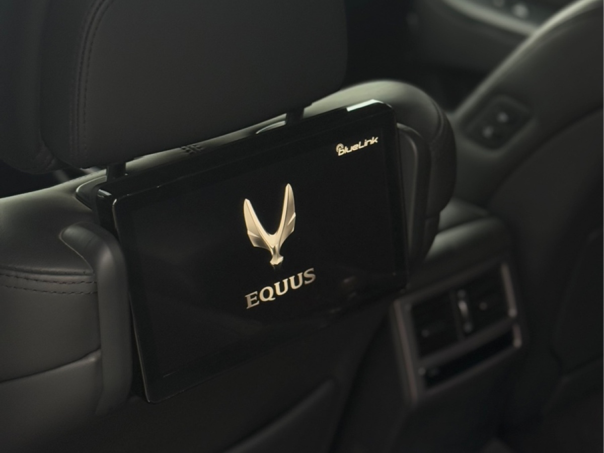 Hyundai Equus 2014 car image #18