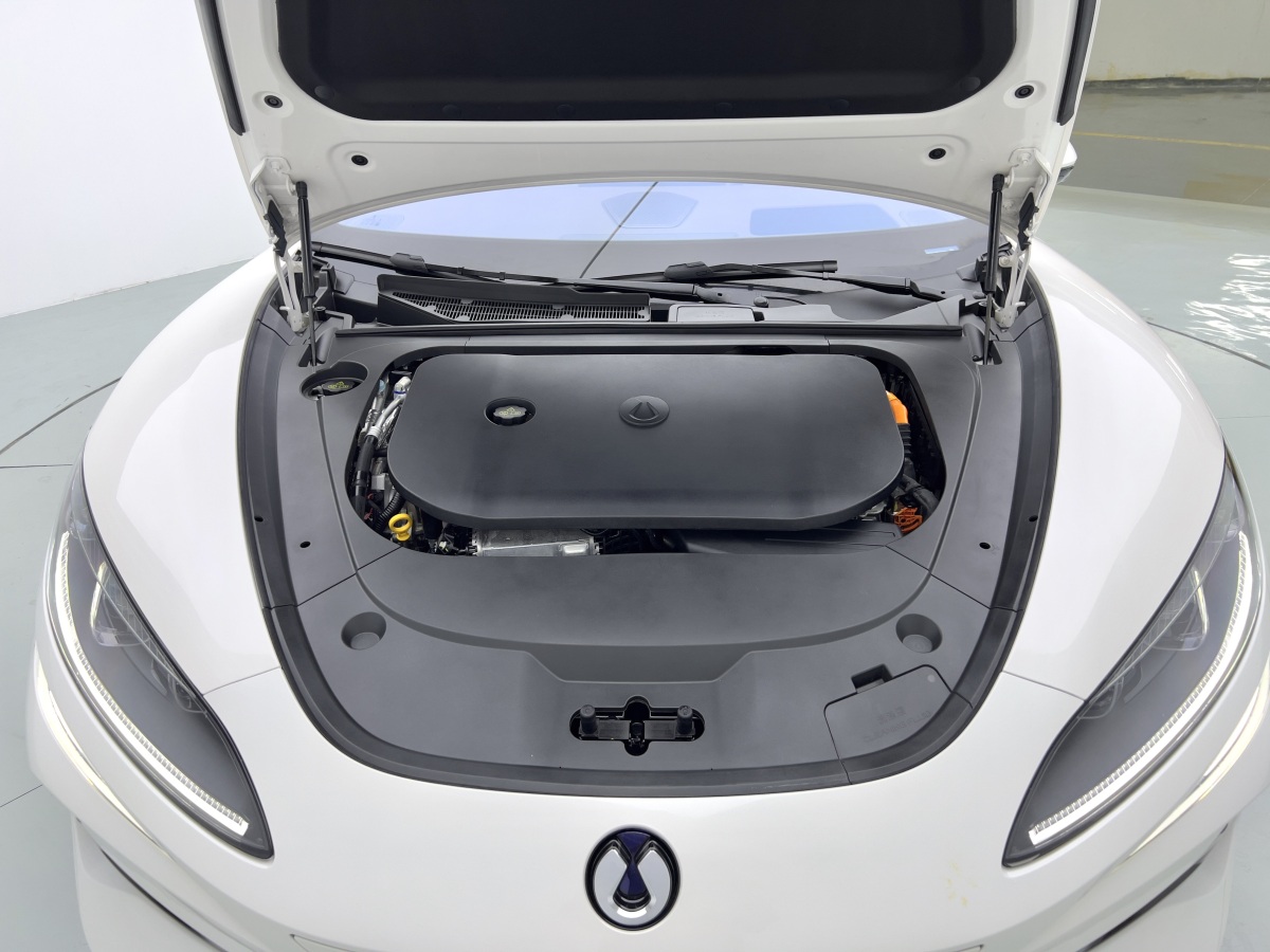 Denza Z9GT 2024 car image #18