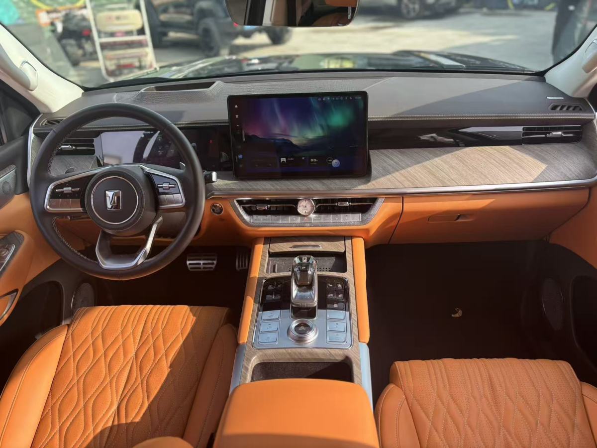 Tank 500 New Energy 2024 car image #18