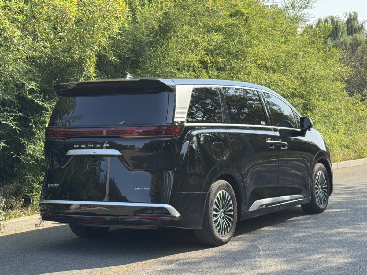 腾势 腾势D9 2024 汽车图片 #18