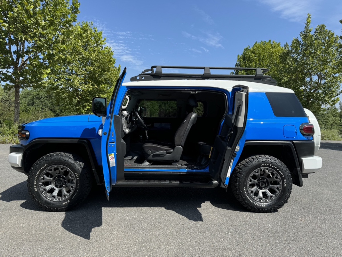 Toyota FJ Cruiser 2007 immagine di auto #18
