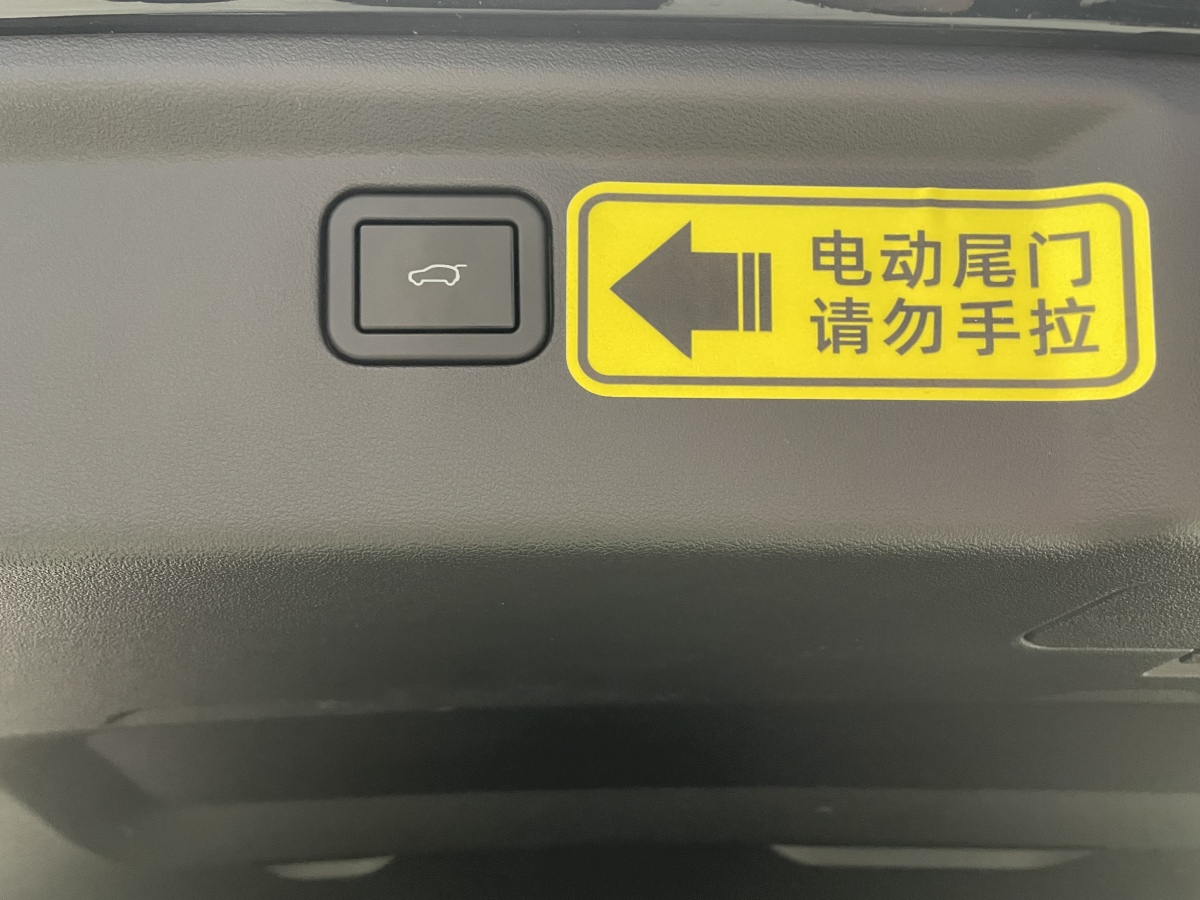 Haval X Dog 2 New Energy 2023 car image #18