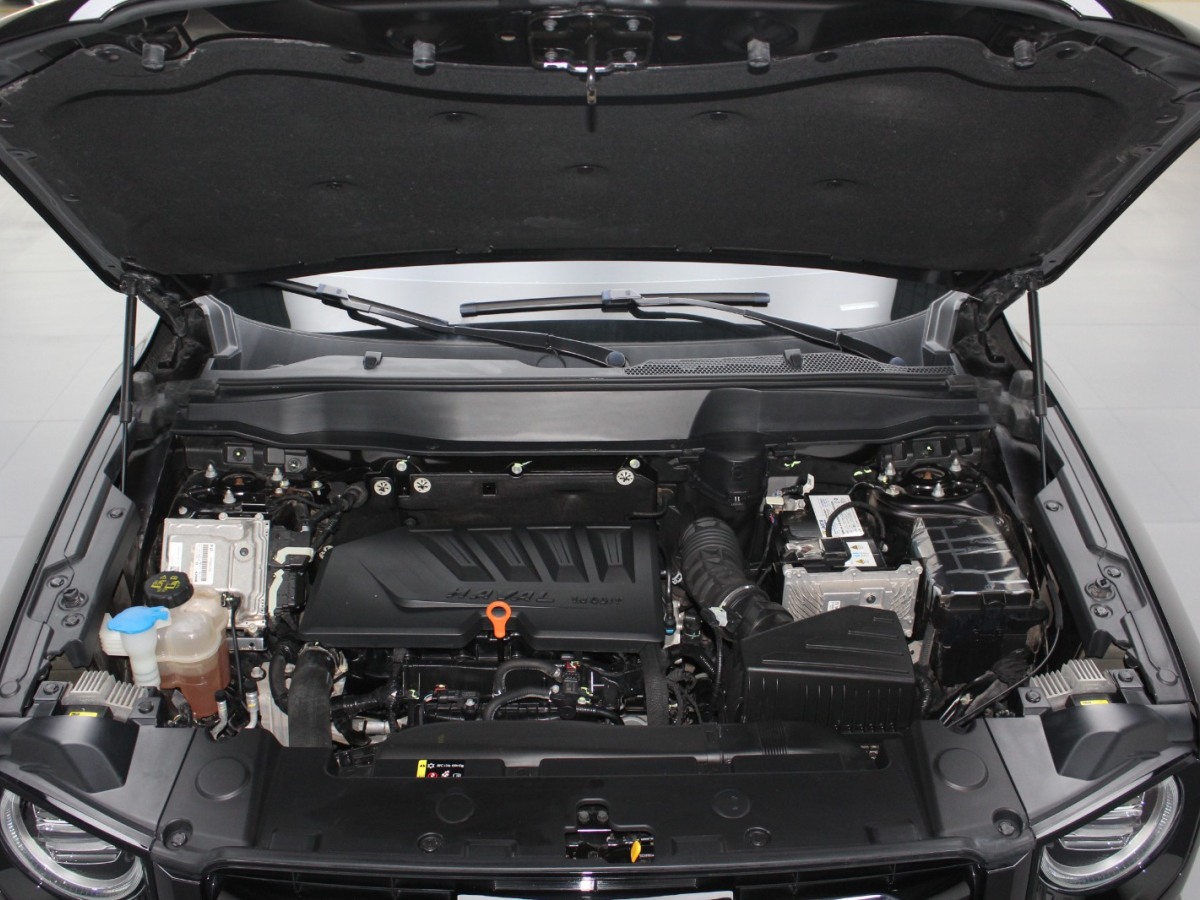 Haval X Dog / Dargo 2021 car image #18