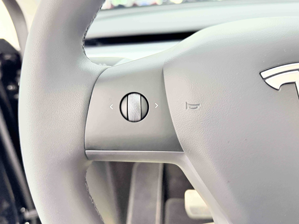 Tesla Model Y 2023 #18 Tesla Model Y 2023 car image #18