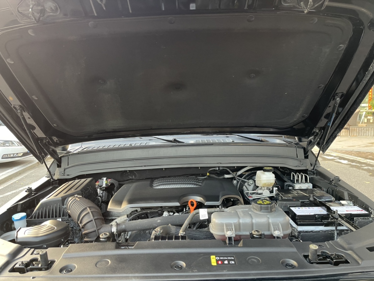 Tank 300 2023 car image #18