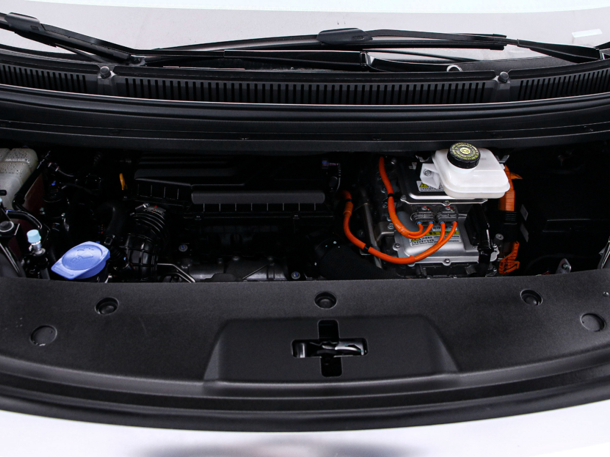 Denza D9 2024 car image #18