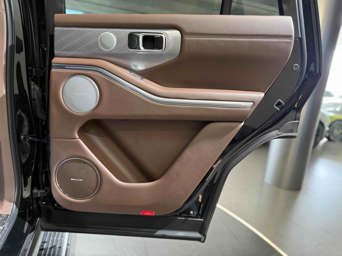 Tank 700 New Energy 2024 #18 Tank 700 New Energy 2024 immagine di auto #18