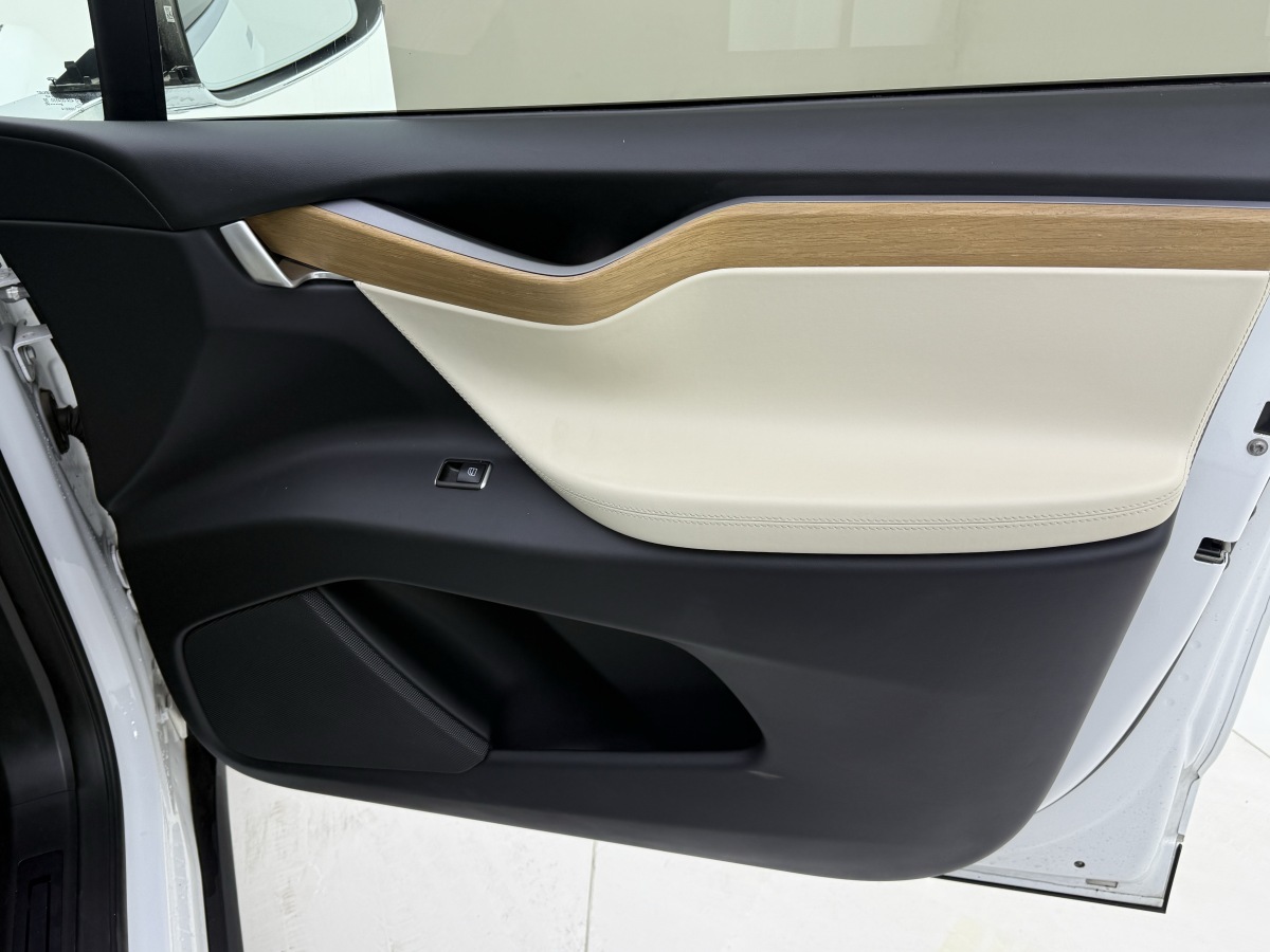 Tesla Model X 2020 immagine di auto #18