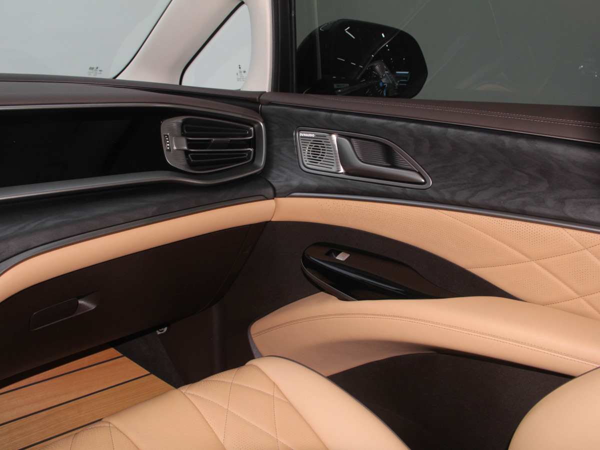 Denza D9 2025 car image #18