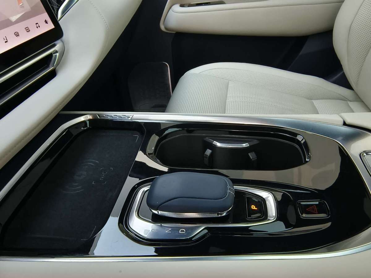 极氪 极氪009 2024 汽车图片 #18