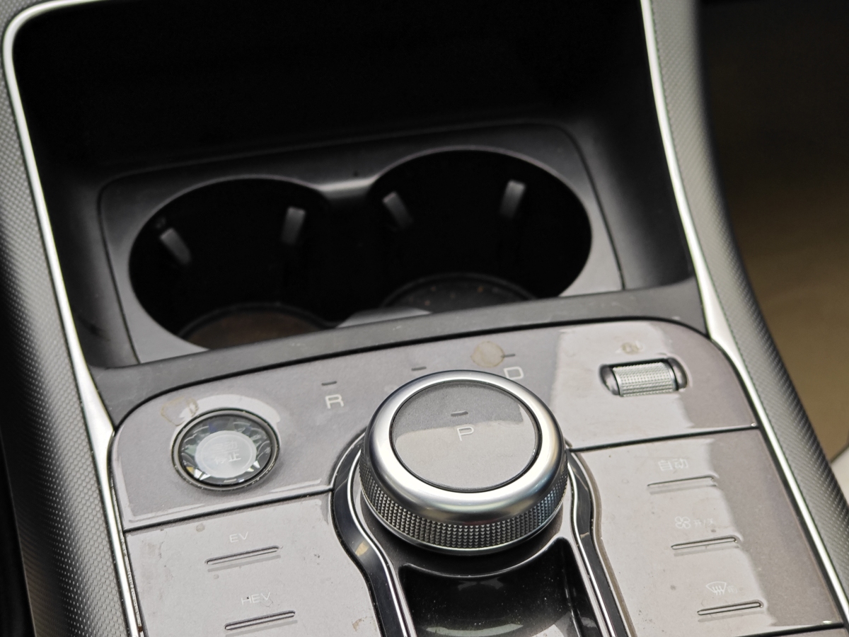 BYD Destroyer 05 2022 car image #18