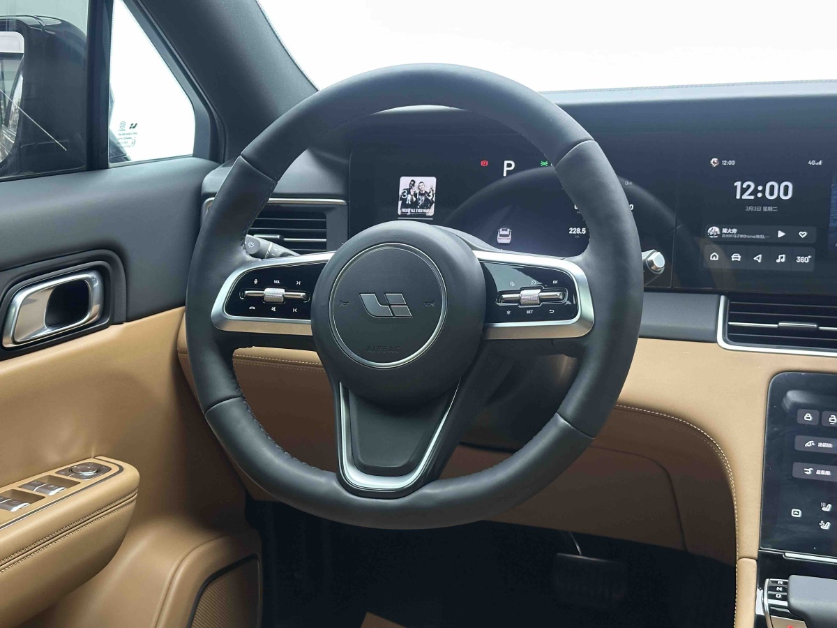 Li One 2021 imagen de coche #18