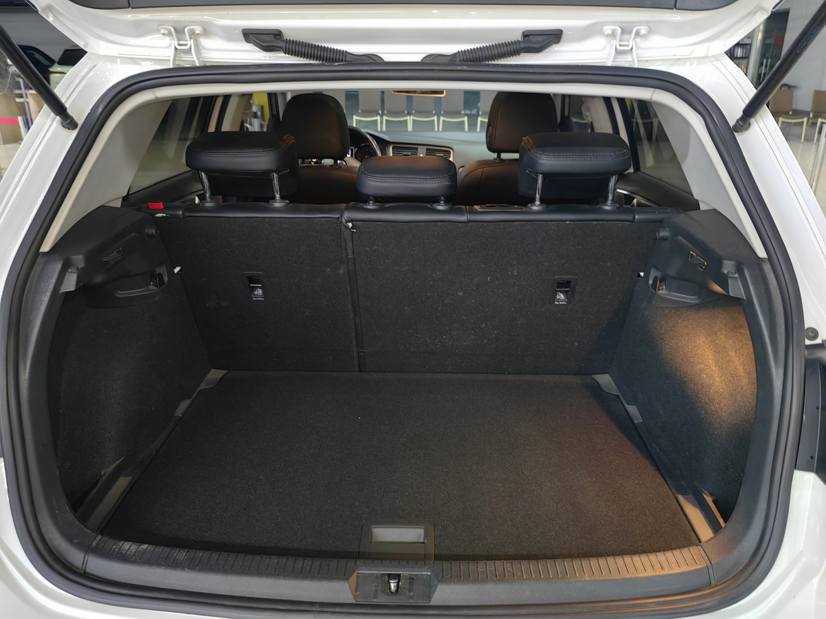 Volkswagen 2015 car image #18