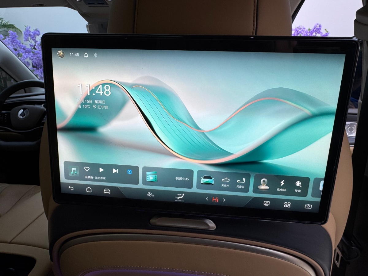 Denza D9 2023 image de voiture #18