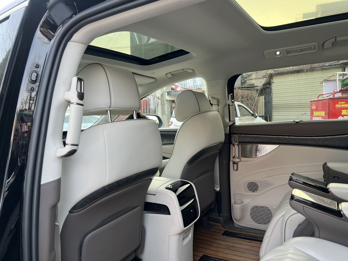 Denza D9 2023 image de voiture #18