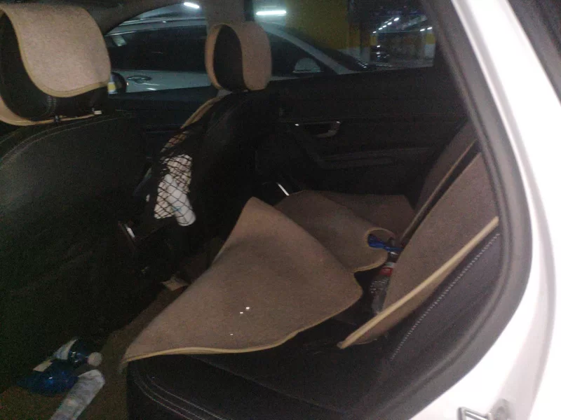 BYD Song Pro 2020 immagine di auto #18