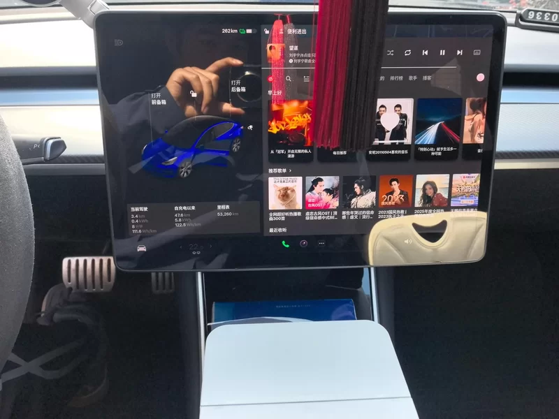 特斯拉 Model 3(进口) 2019 汽车图片 #18