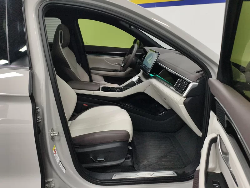 BYD Song Plus New Energy 2025 immagine di auto #18