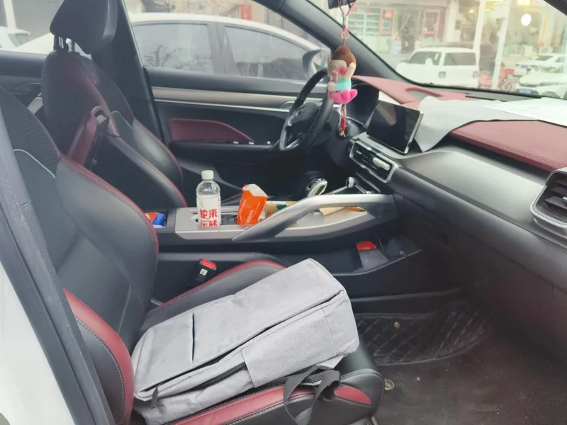 GEELY Coolray 2020 car image #18