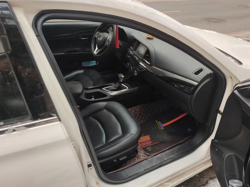 GAC Trumpchi GA6 2016 car image #18