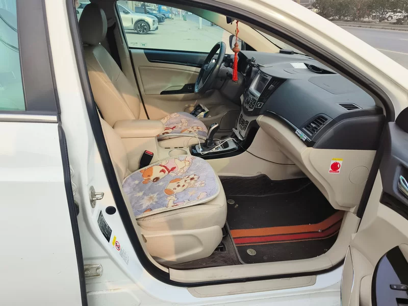 BYD e5 2017 #18 BYD e5 2017 car image #18