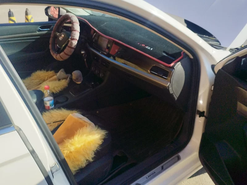 Volkswagen Lavida 2019 car image #18