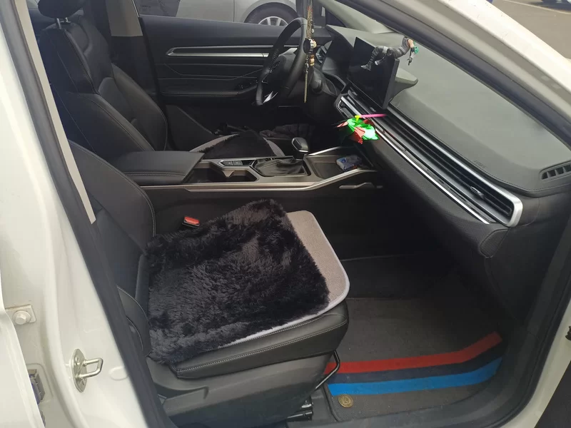 GEELY Emgrand 2023 immagine di auto #18