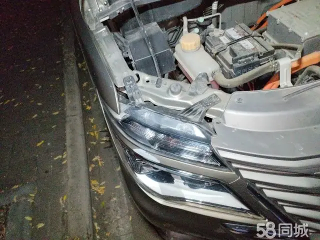 Forthing Lingzhi EV 2023 car image #18