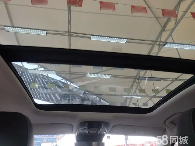 GEELY Tugella 2019 car image #18