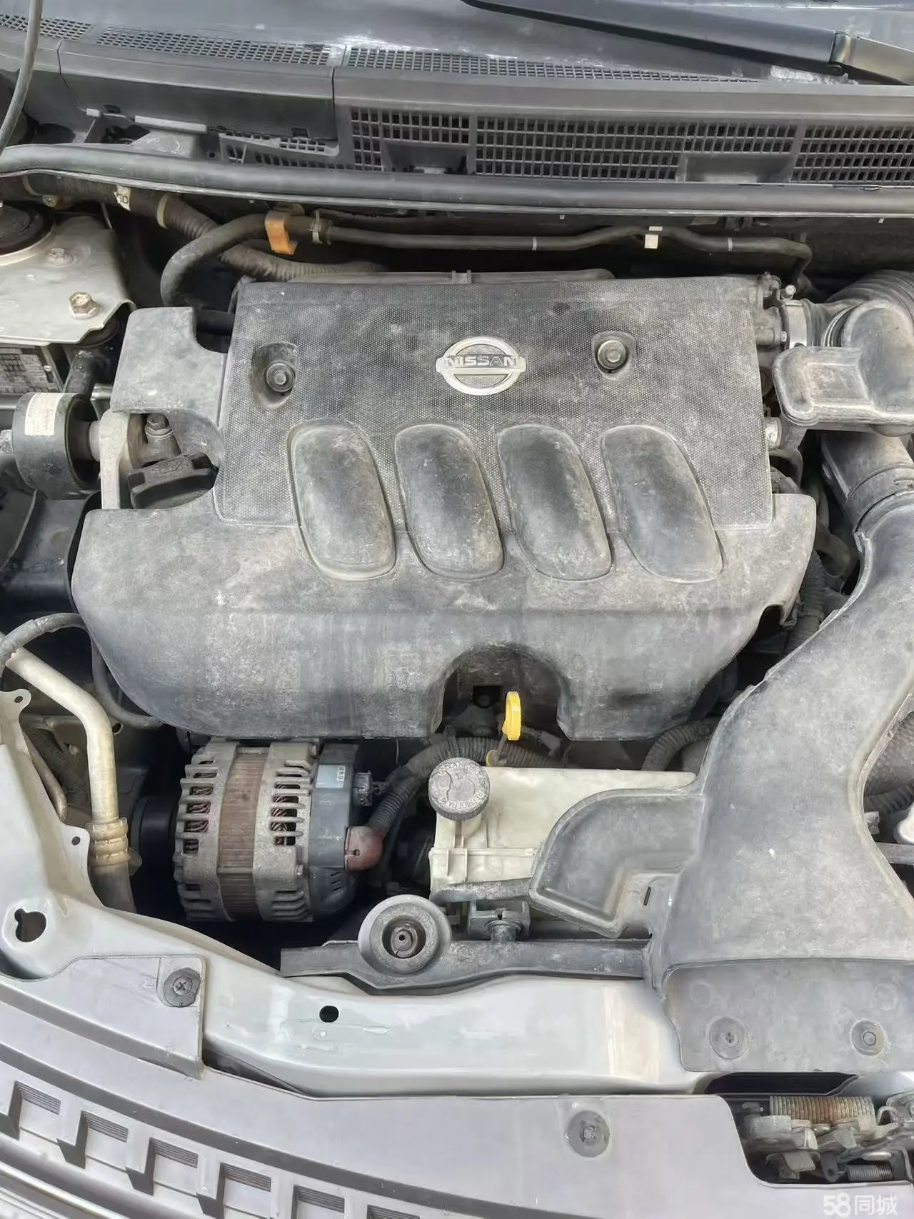 日产 骏逸 2006 汽车图片 #18