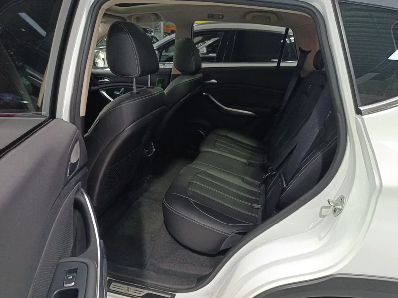 BYD Song New Energy 2019 car image #18