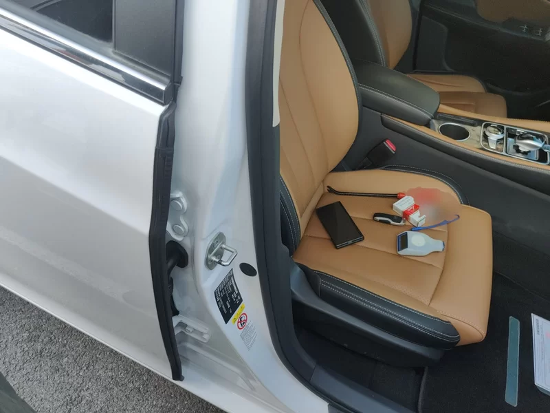 BYD Qin New Energy 2018 car image #18